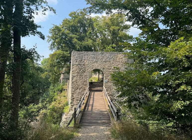 Burgruine Diepoldsburg, Germany